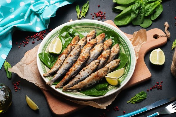 Sardine.jpg