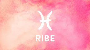 Ribe.jpg