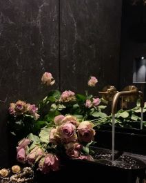 Što je zajedničko stanovima Izabel Kovačić, Helene Livaković i Ive Šarić