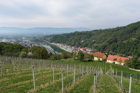 DSCF1952.jpg