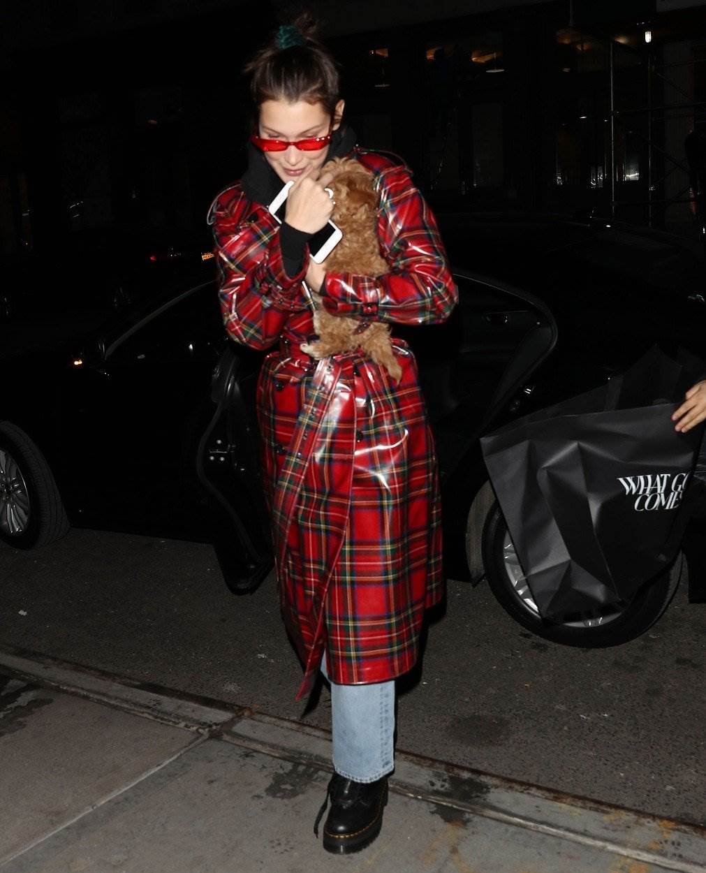 Bella Hadid