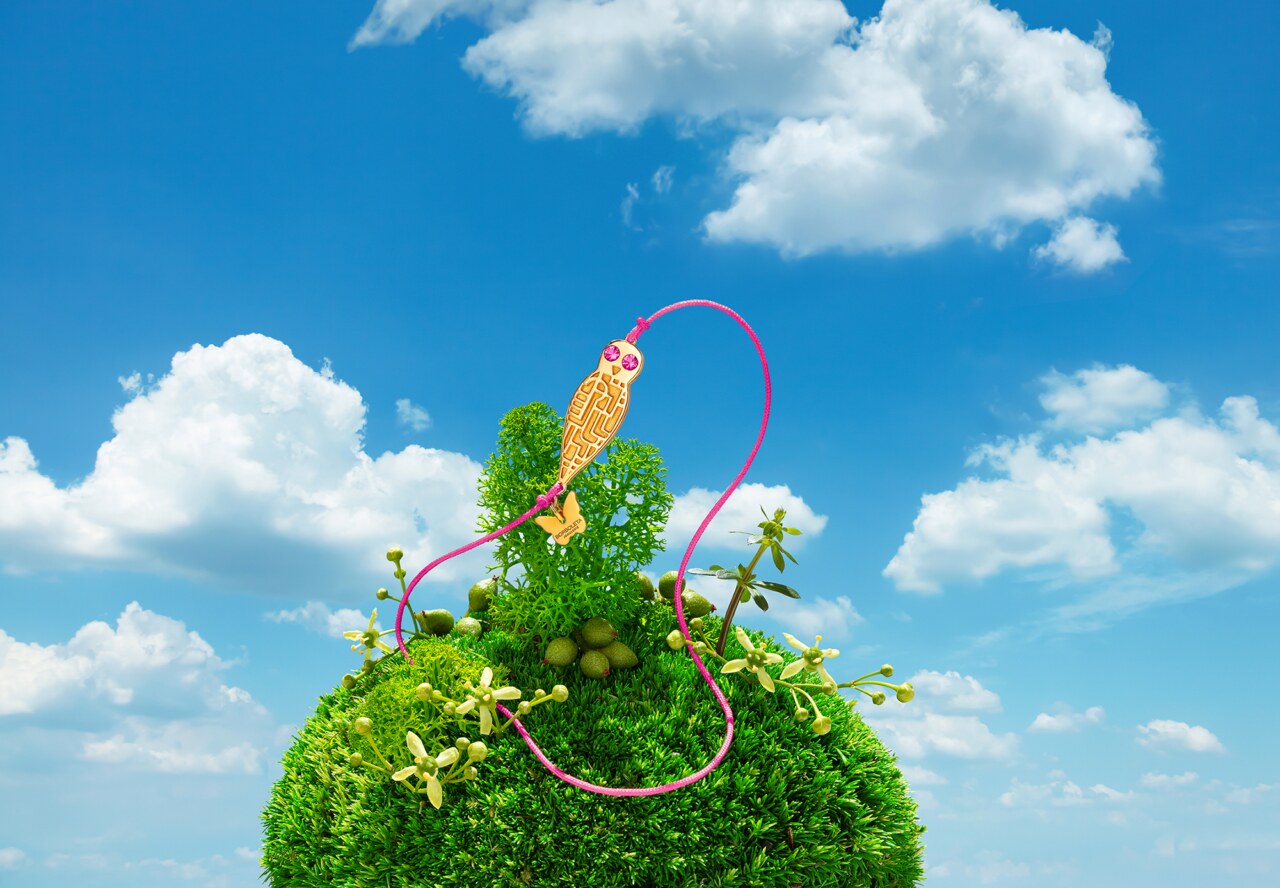 Borboleta obilježava svojih prvih deset godina