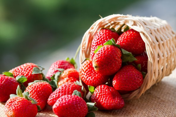 Jagode