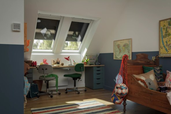VELUX 2.jpg