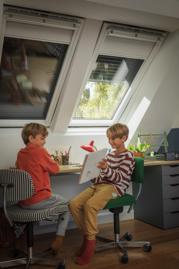 VELUX 3.jpg