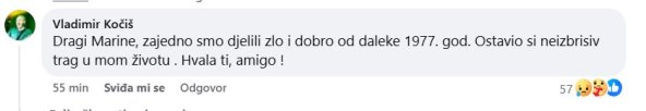 Vladimir Kočiš Zec