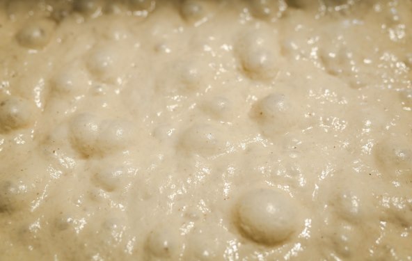 Fermentacija.jpg