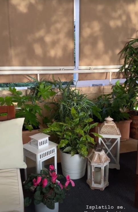 Ana Gruica teresa.JPG