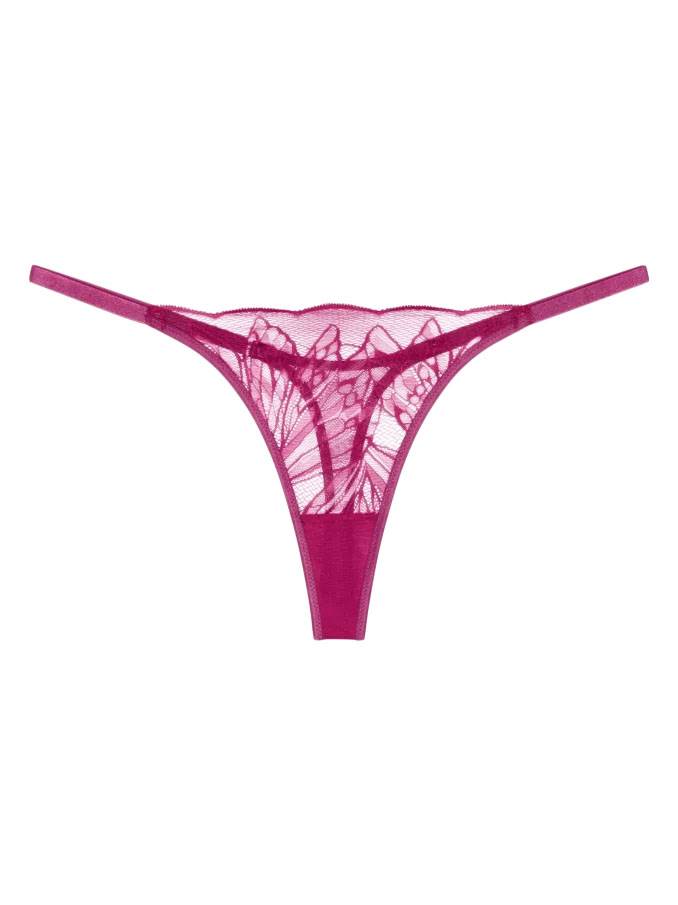TRIUMPH17EUR.jpg
