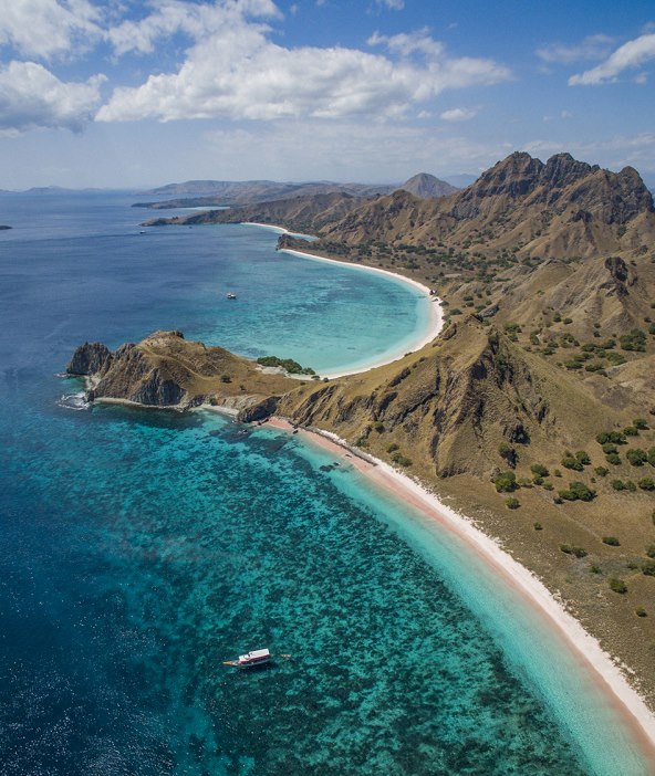 Domagoj Sever Komodo 1.jpg