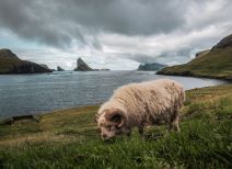 Domagoj Sever je jedan od najboljih travel fotografa na svijetu a otkrio je tajnu svojeg uspjeha