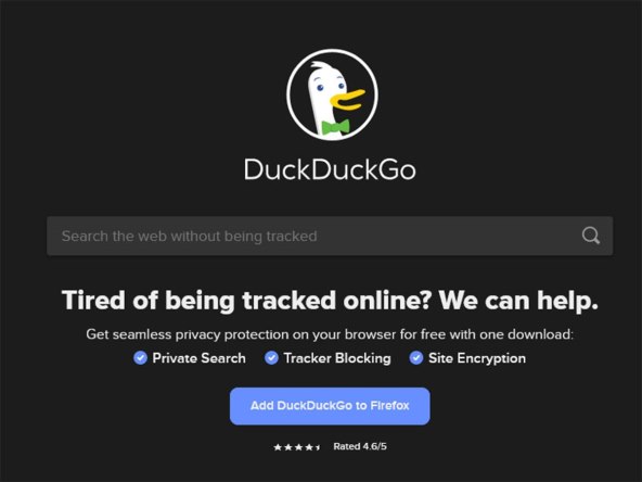 Duck (3).jpg