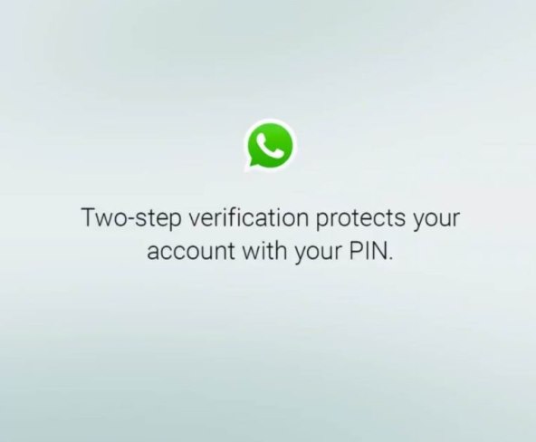 WhatsApp 1.jpg
