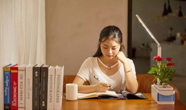 STOLNA SVJETILJKA ZA UNUTARNJI VRT Mala zelena oaza ukrasit će vaš stan!