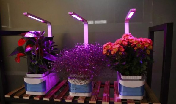 STOLNA SVJETILJKA ZA UNUTARNJI VRT Mala zelena oaza ukrasit će vaš stan!