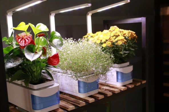 STOLNA SVJETILJKA ZA UNUTARNJI VRT Mala zelena oaza ukrasit će vaš stan!