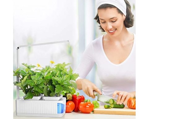 STOLNA SVJETILJKA ZA UNUTARNJI VRT Mala zelena oaza ukrasit će vaš stan!