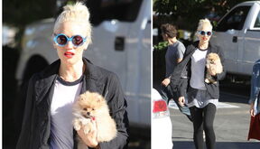Neon okviri i preslatki pomeranac za Gwen Stefani 