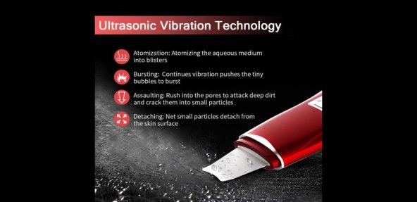 Anlan ultrazvučni piling za lice 2