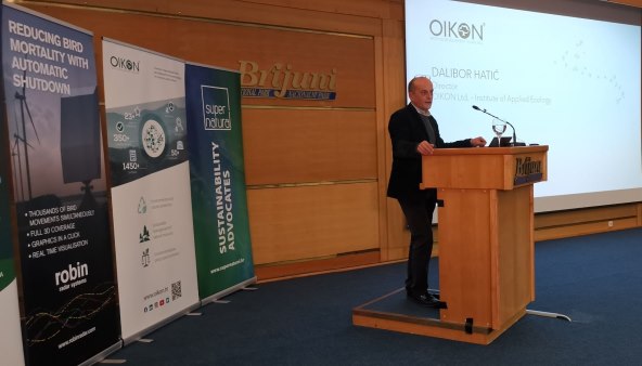 Dalibor Hatić, Oikon