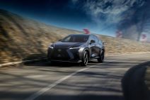 Lexus NX (11).jpg