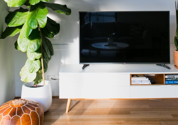 Televizor cvijece.jpg