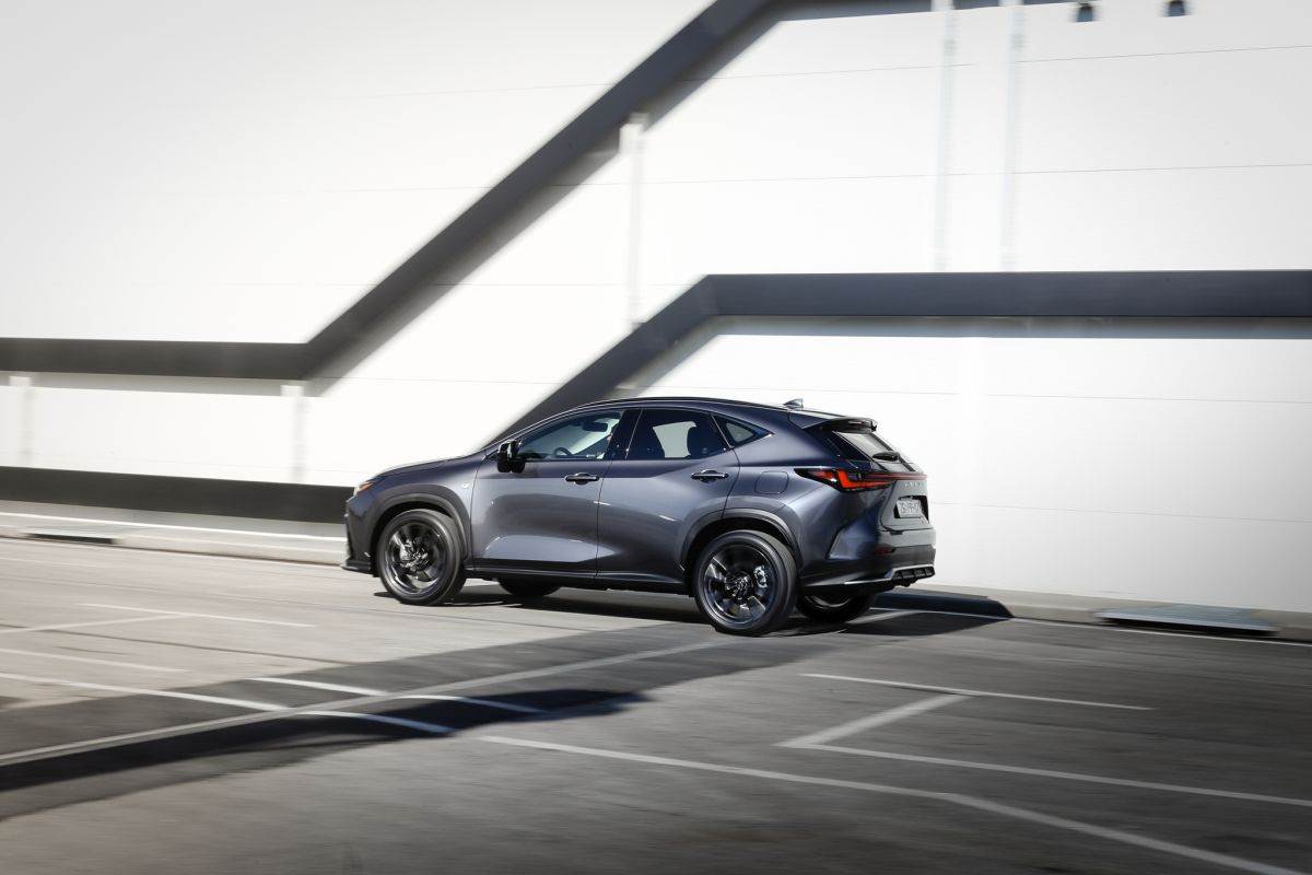 Lexus NX (8).jpg
