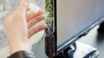 Monitree (1).jpg
