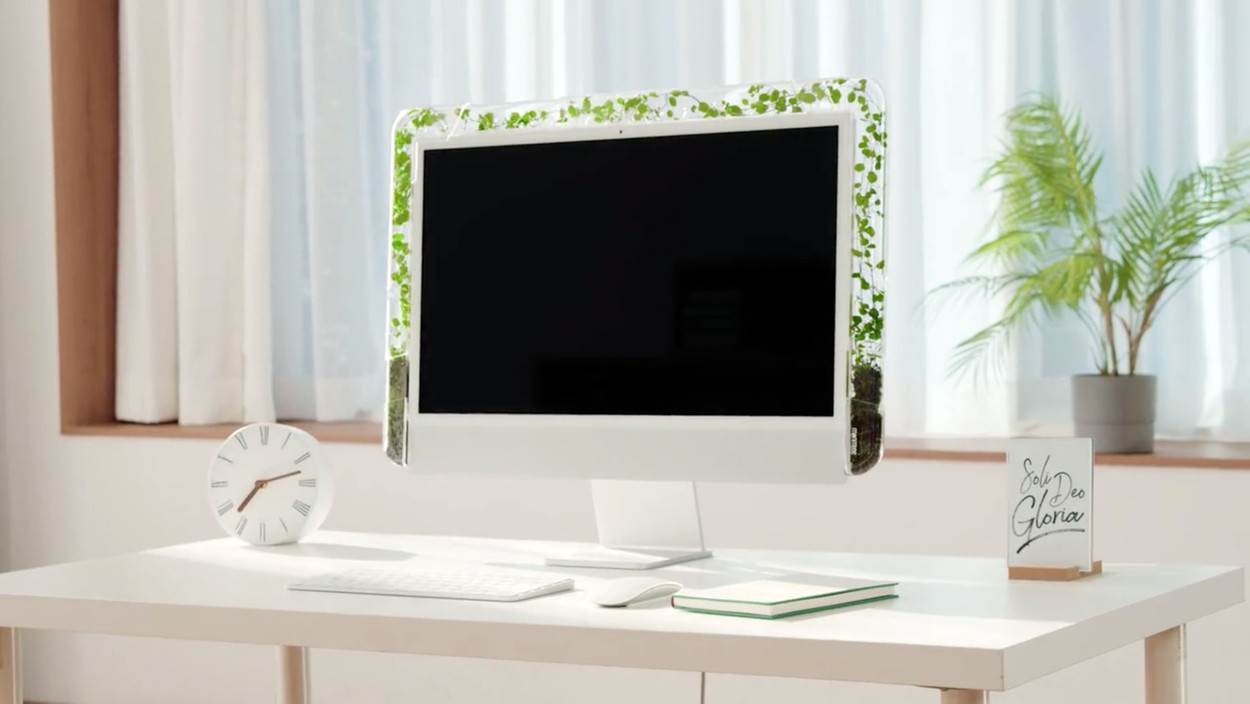 Monitree (5).jpg