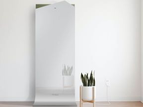 Fitsee Mirror (6).jpg