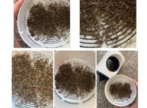 LED lampa za ubijanje komaraca (1).jpg