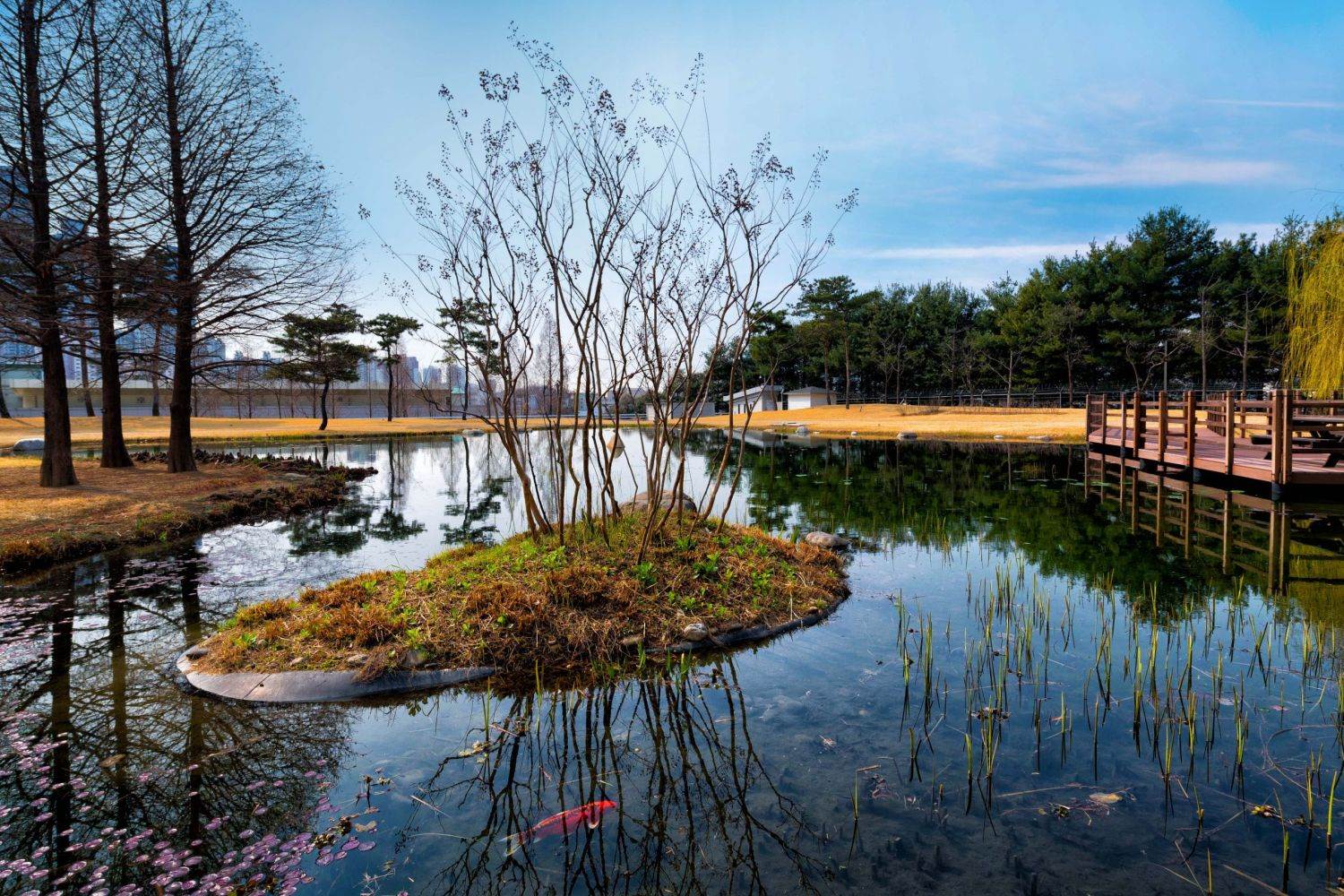 Samsung-Environmental-Strategy-3-scaled.jpg
