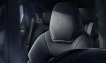 Cayenne Platinum Edition (1).jpg