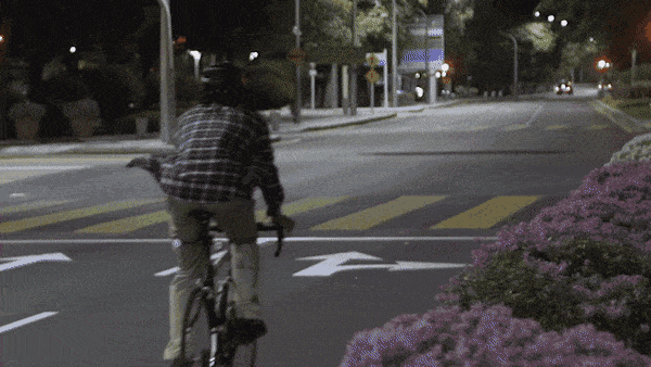 Lumos Firefly (3).gif