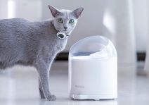 CATLINK Pure2 (4).jpg