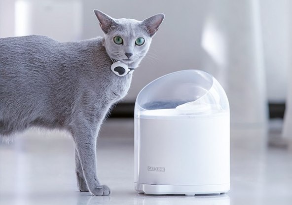 CATLINK Pure2 (4).jpg