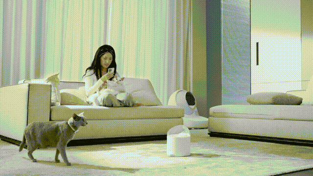 CATLINK Pure2 (1).gif