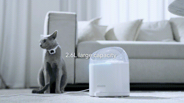 CATLINK Pure2 (2).gif