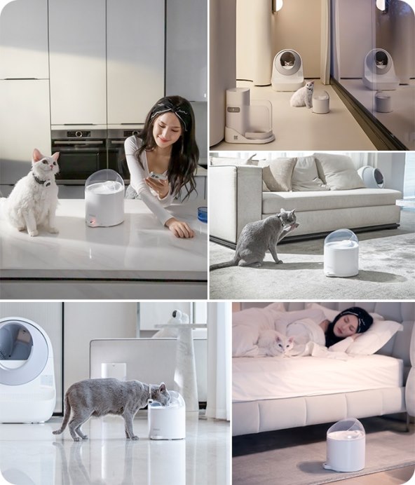 CATLINK Pure2 (3).jpg