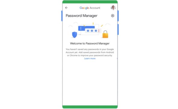 Google Password Manager 4.jpg