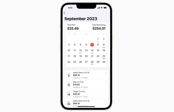 Apple-Pay-Later-calendar-view.jpg