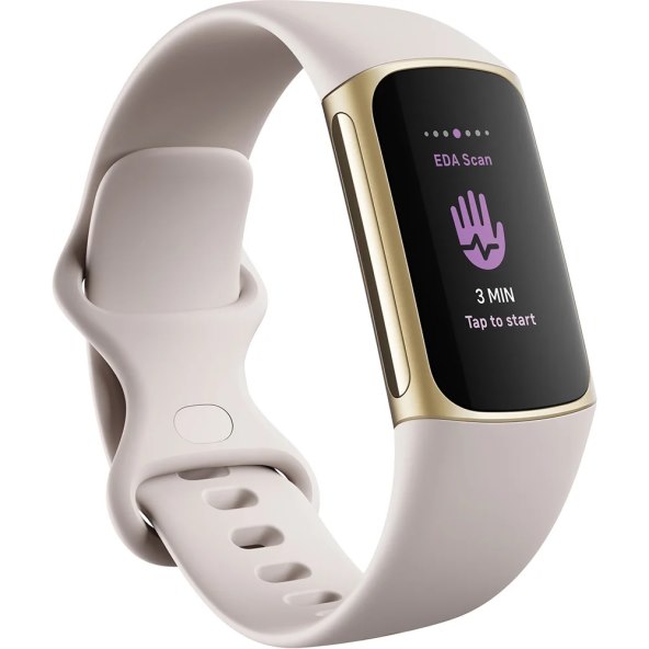 Fitbit 3.jpg