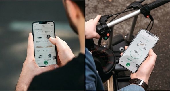 ToMove The Tom (7).jpg