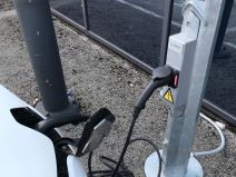 Punjac u rasvjetnom stupu (3).jpg