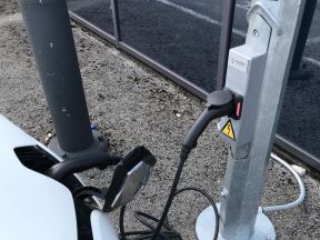 Punjac u rasvjetnom stupu (3).jpg