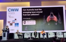 CWW 2023 Šibenik leteća lisica šišmiš (3).jpg