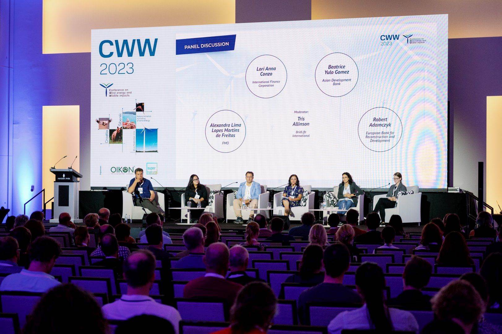 CWW2023_panel2_IFIs.jpg