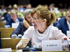 Biljana Borzan.JPG
