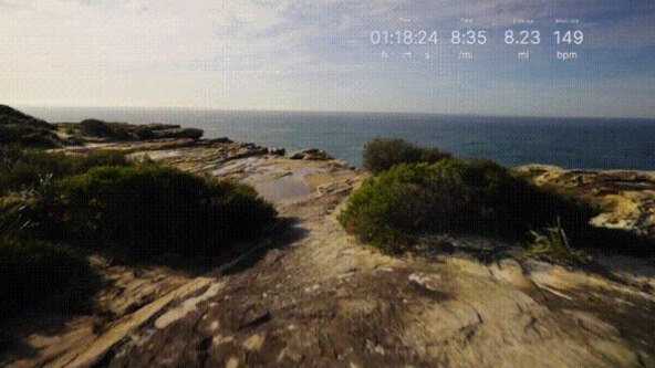 Minimis Glass (2).jpg