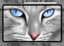 HUAWEI MatePad Pro.jpg